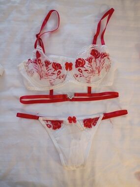 Sheer White & Red Floral Lace Bra and Thong Set